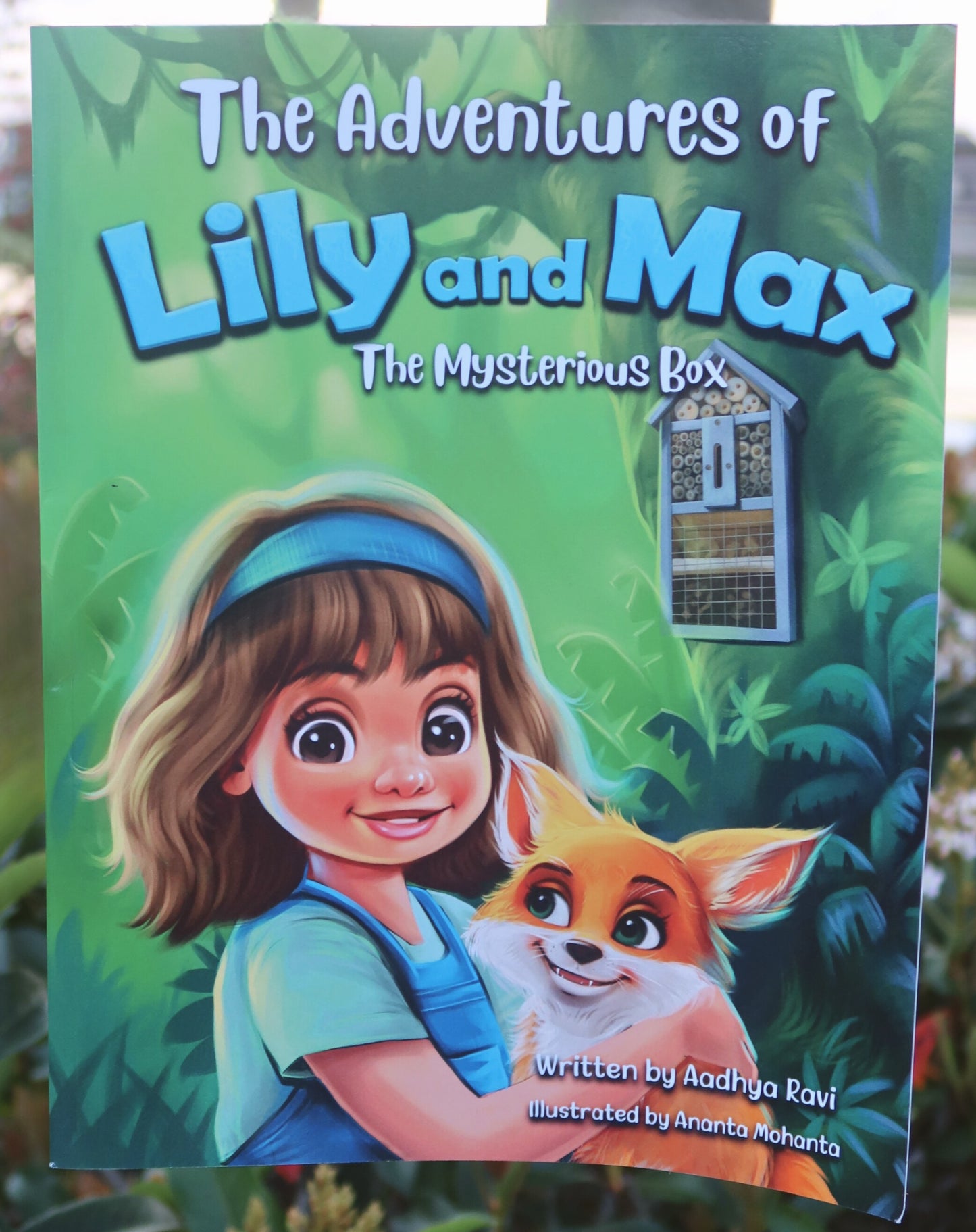 The Adventures of Lily and Max: The Mysterious Box