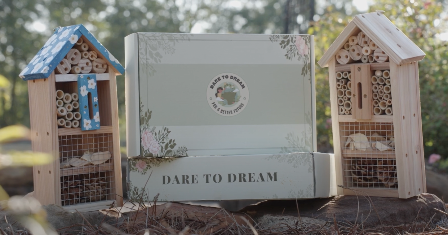 Dream Box-Pollinator Box kit