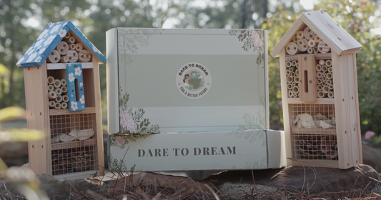 Pollinator Box Kit