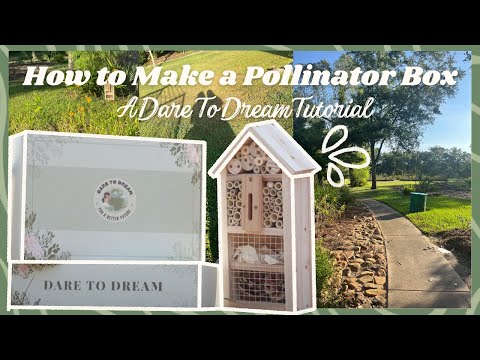 Pollinator Box Kit – Dare To Dream